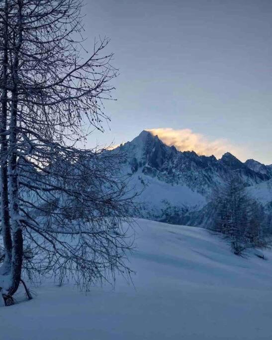 Ski Chamonix, Saint Gervais Et Mont-Blanc Passy  Exterior photo
